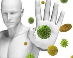Boosts Immunity