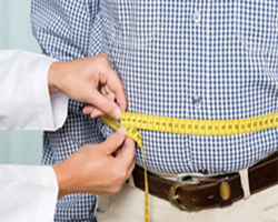 Supports Fat Loss