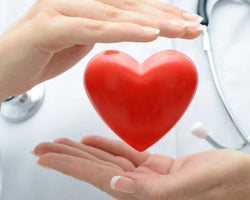 Supports Heart Health
