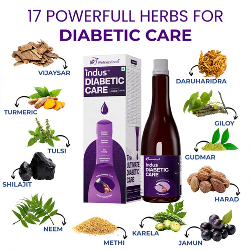 Indus Diabetic Care Juice 500ML | Ayurvedic Diabetes Support | Helps Maintain Healthy Sugar Levels | Reduces Cravings | Boosts Metabolism & Energy | 100% Herbal | No Added Sugar