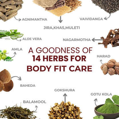 Indus Fit Care