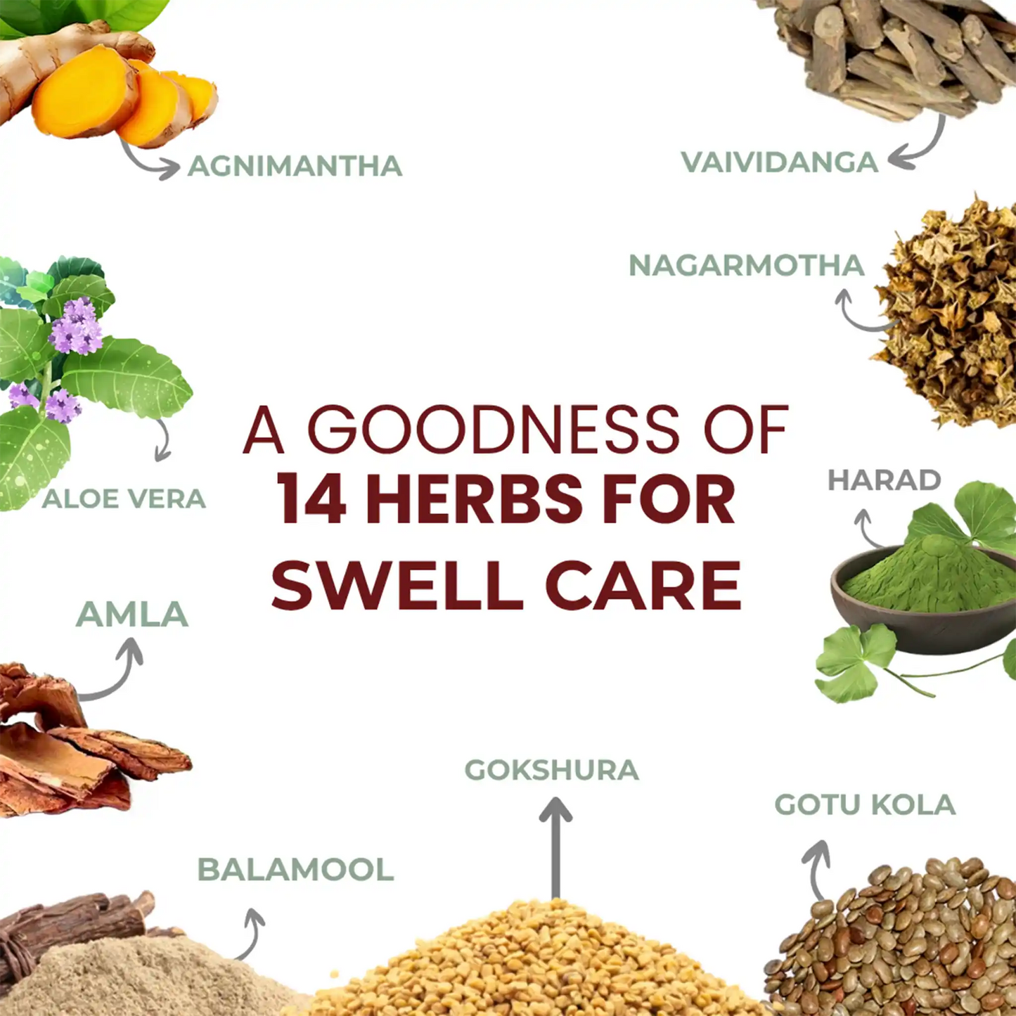 Indus Swell Care