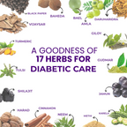 Indus Diabetic Care Juice 500ML | Ayurvedic Diabetes Support | Helps Maintain Healthy Sugar Levels | Reduces Cravings | Boosts Metabolism & Energy | 100% Herbal | No Added Sugar