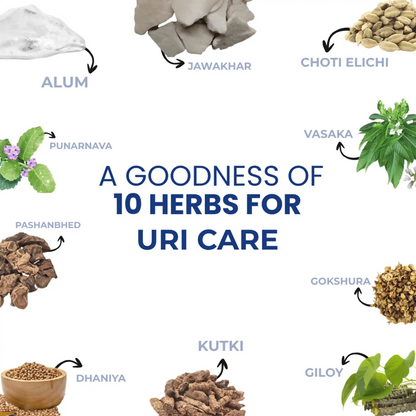Indus Uri care