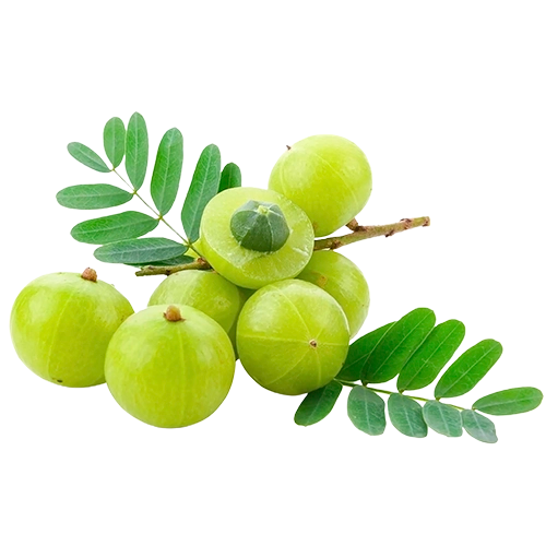 Ingredient 6