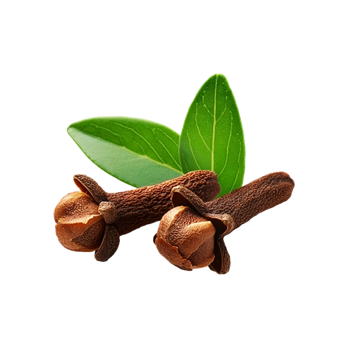 Ingredient 4