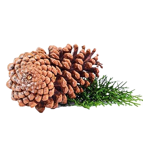 Ingredient 10
