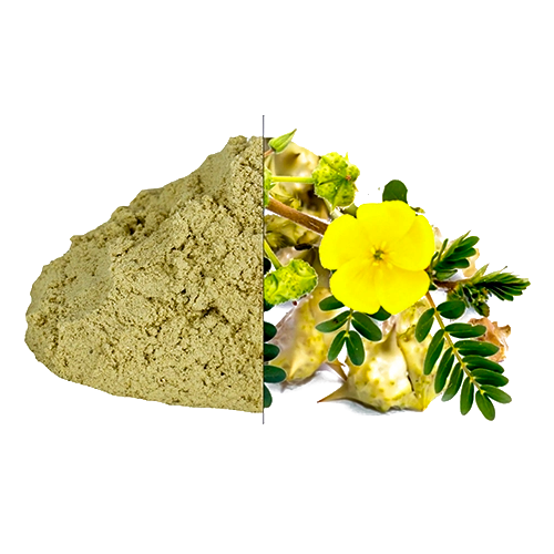 Ingredient 2
