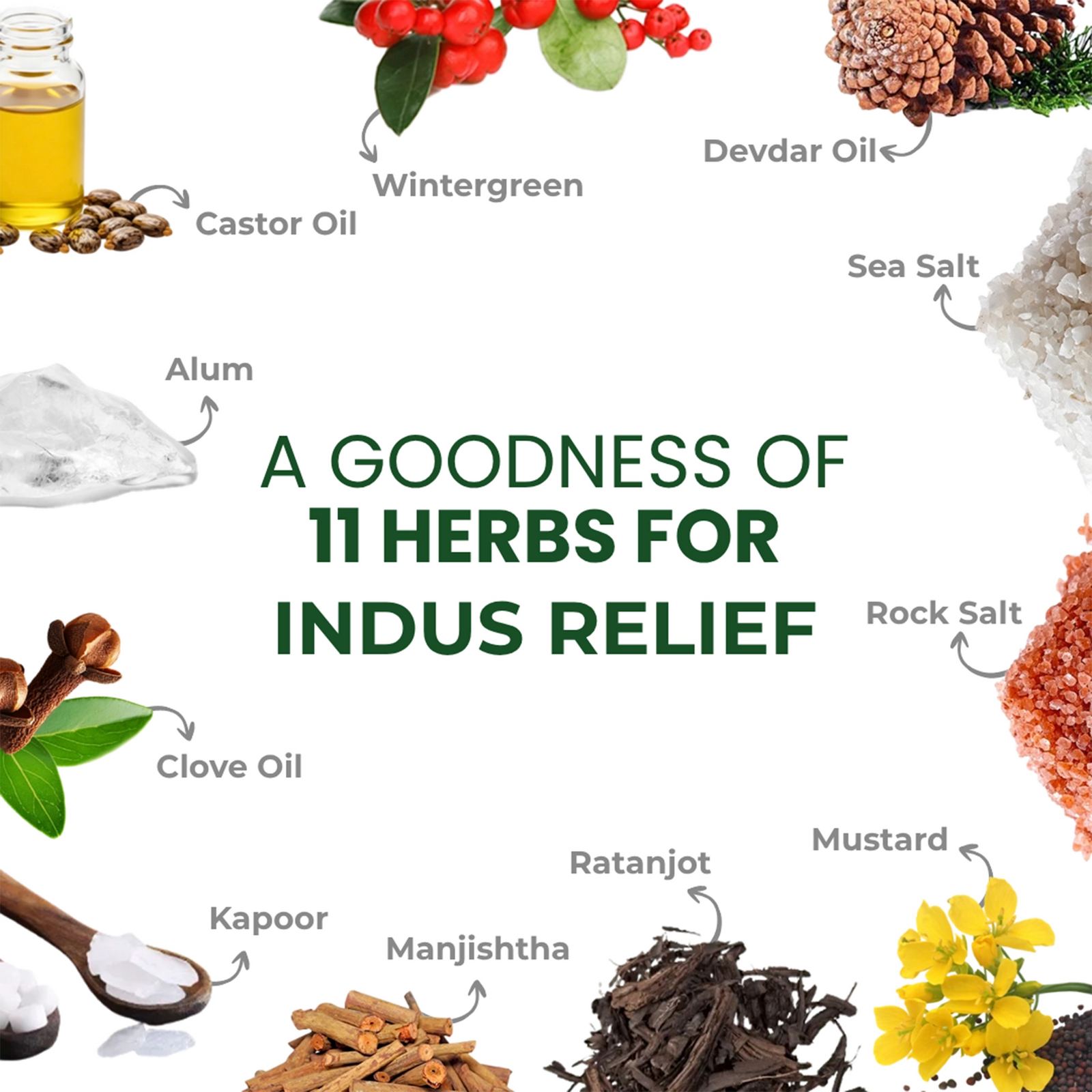 Indus Relief Herbal Pain Relief Oil 100 ML | Supports Muscle Comfort, Joint Ease & Relaxation | Ayurvedic Massage Oil