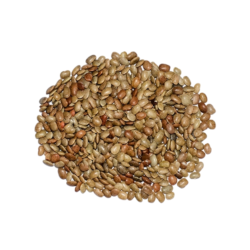 Ingredient 5