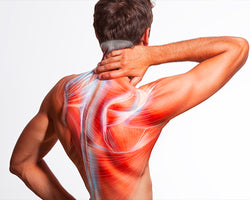 Relieve Stiffness & Muscle Tension