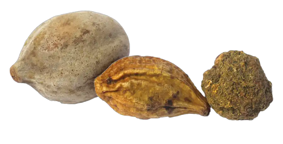 Ingredient 9