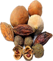 Triphala