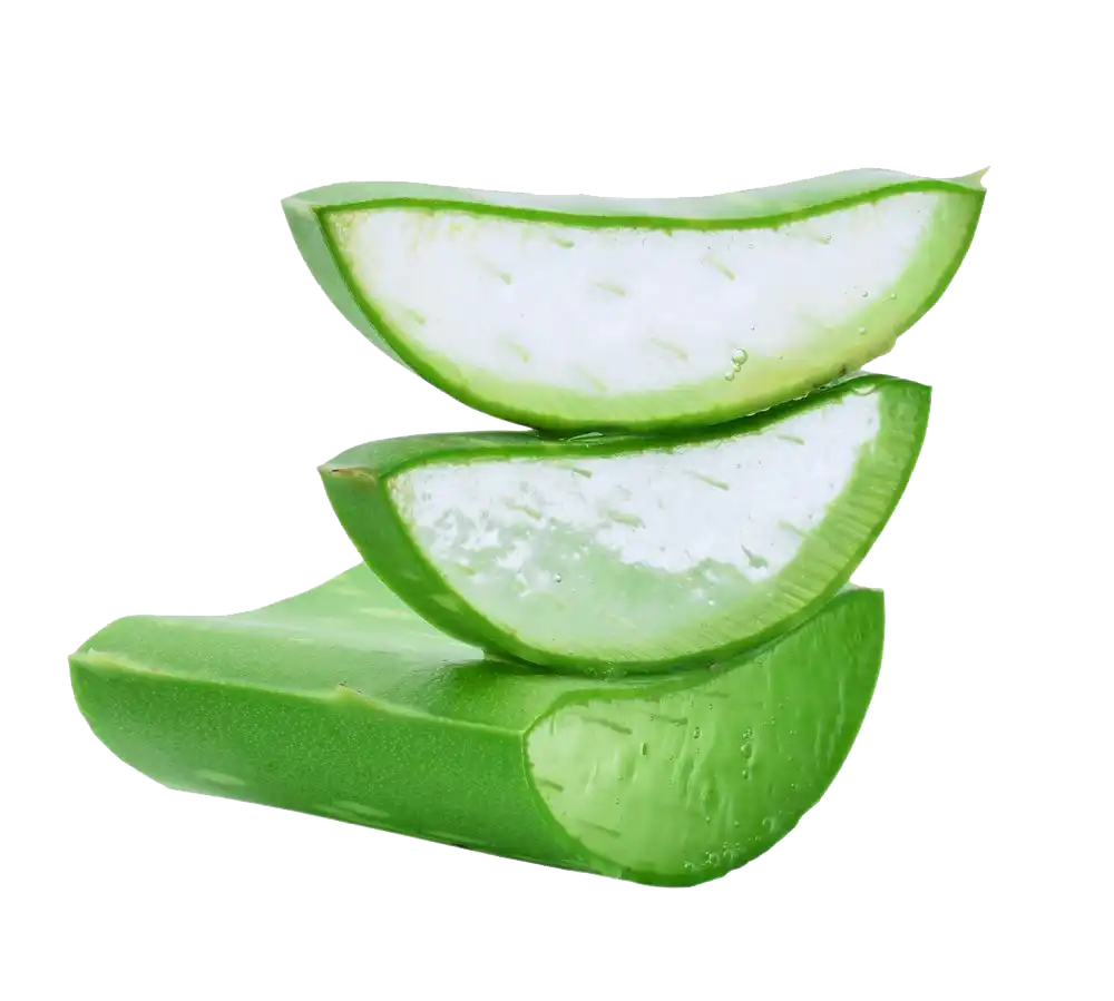 Ingredient 12